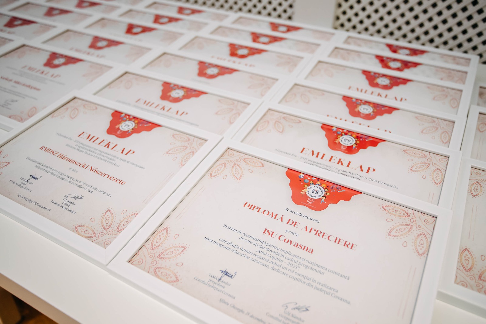 Anul Copiilor, încheiat cu succes