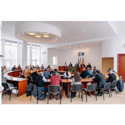 Comisii de specialitate